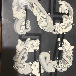 Space Jam Jordan 11s 2000 9,5 