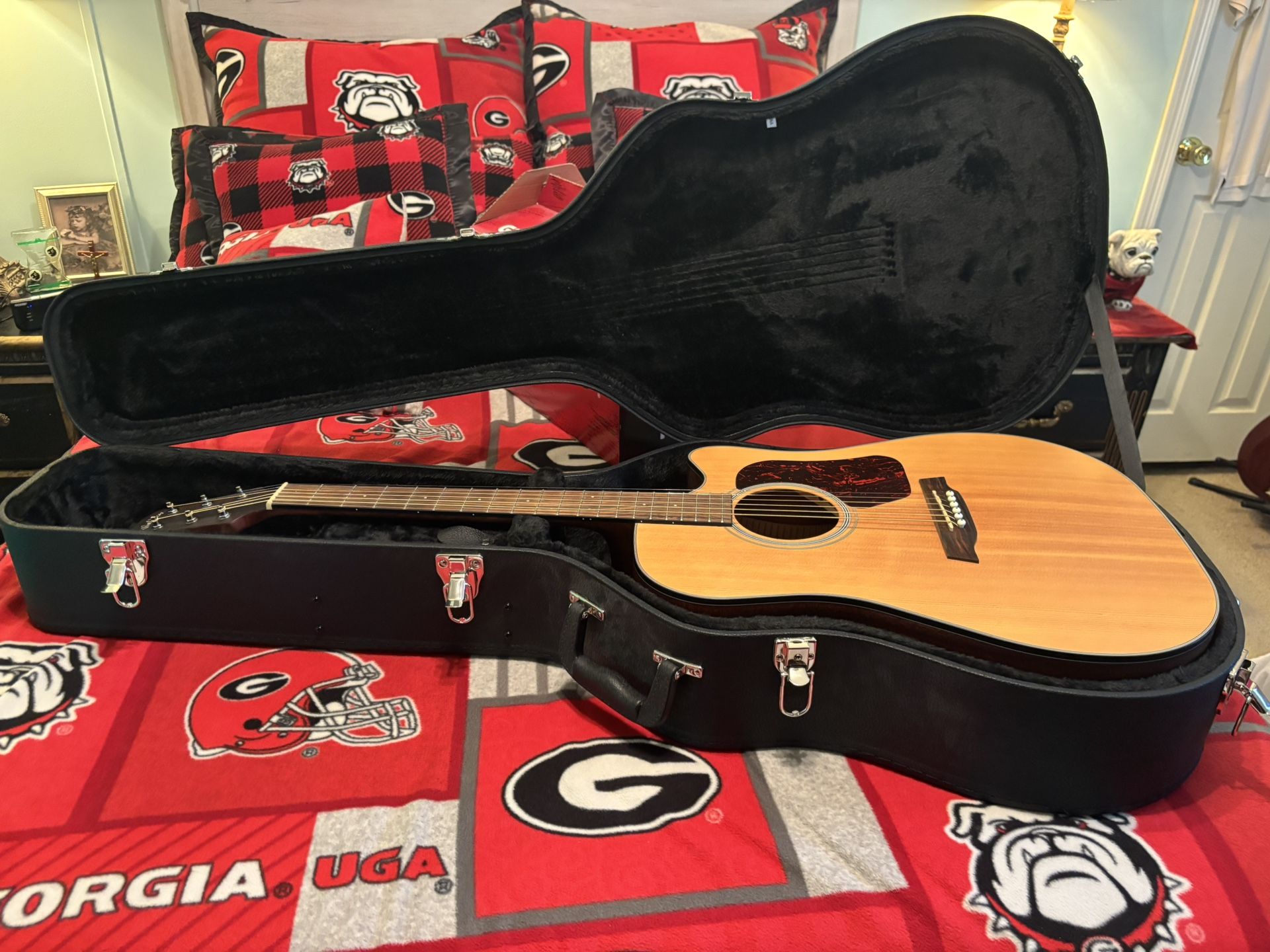 Acoustic Walden Guitar