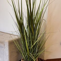 Beautiful Fake Plant 