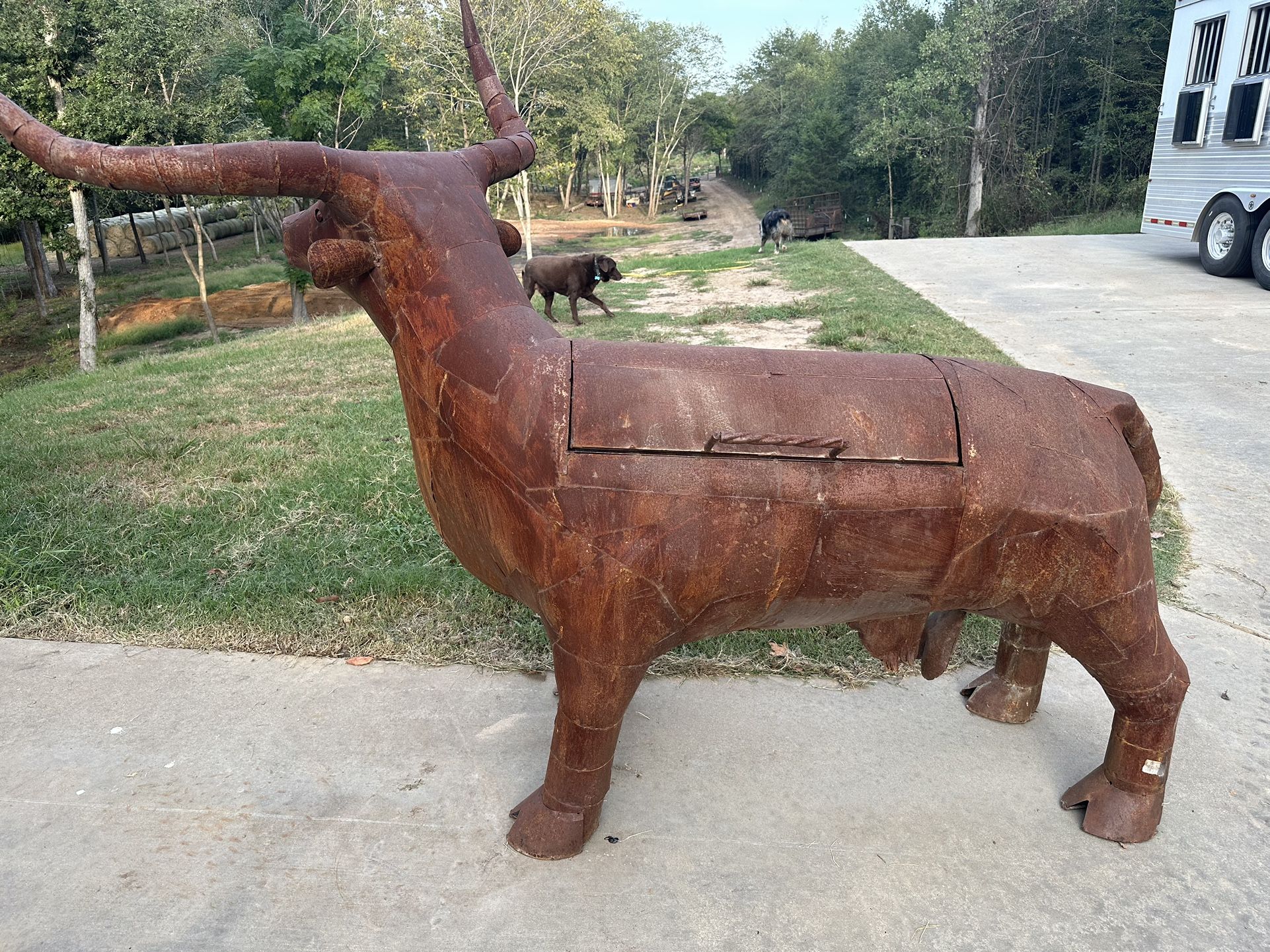 Longhorn bull BBQ