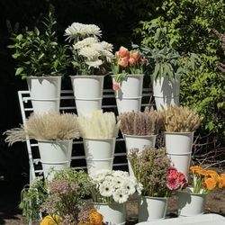 Flower Display Stand 