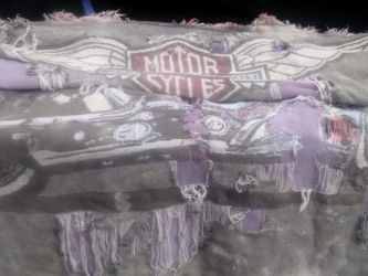 The Harley-Davidson blanket in 1980