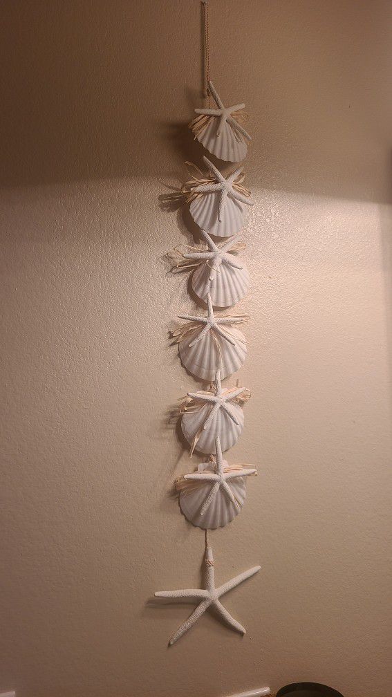 seashells decor for wall
