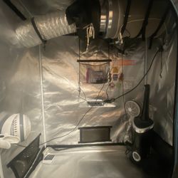 Indoor Garden Tent 