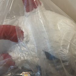 Jumbo Larvesta Pokémon Plush Limited Edition 