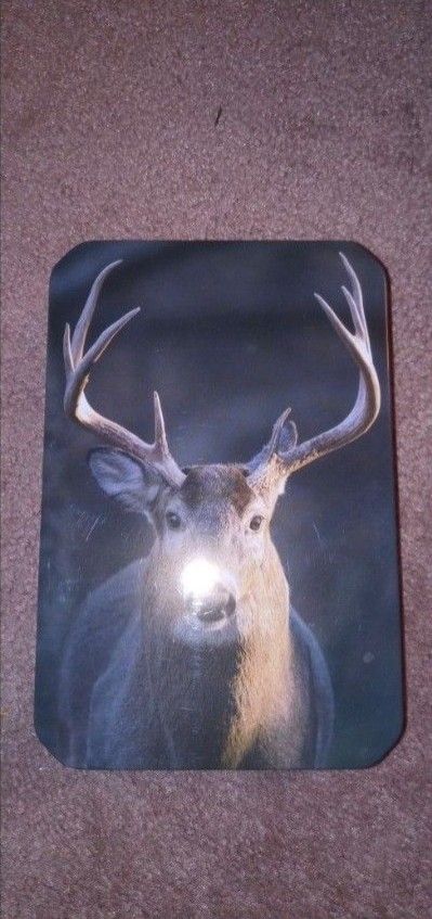 Ozark Trail Collectible Set