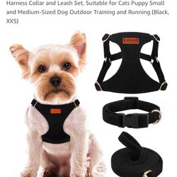 3pc Set Collar With Leash XXS