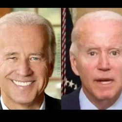 Fake BIDEN ON RIGHT
