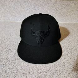 Chicago Bulls Hat