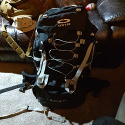 Lg. Backpack