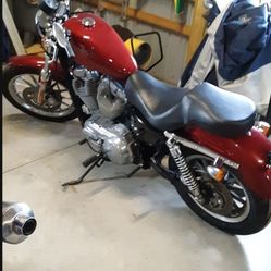 2007 Harley Davidson Sportster