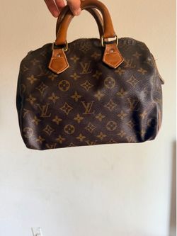 Louis Vuitton Speedy 25 Handbag