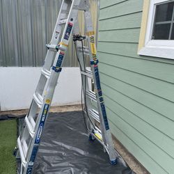 Werner Ladder 