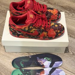 Nike Dunk SB “Wizard Of Oz” Size 10.5