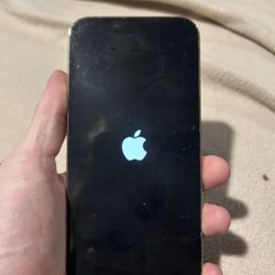 iPhone 13 Pro Max Tan And Gold