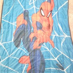Spiderman Bed Set 