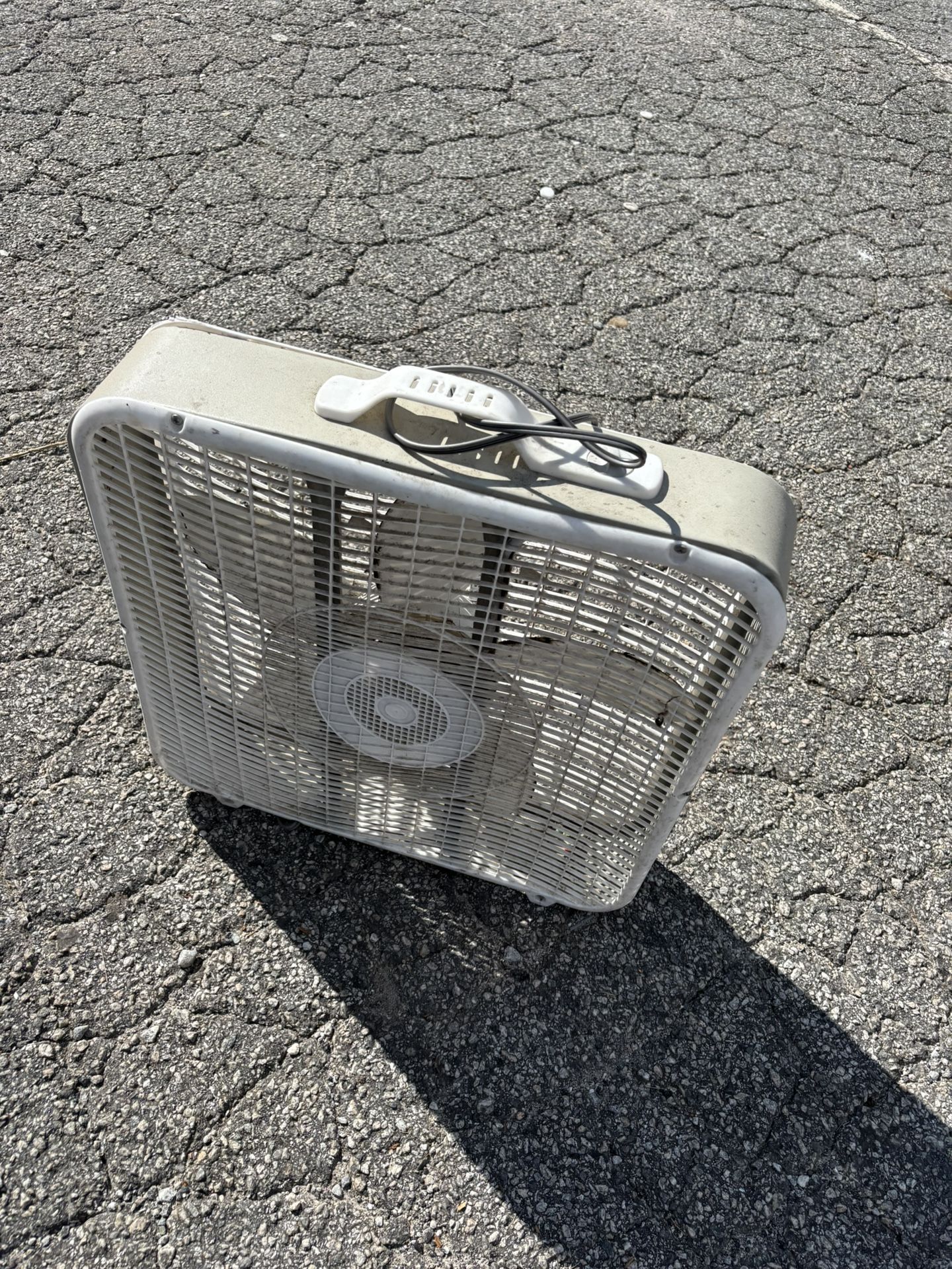 Fan