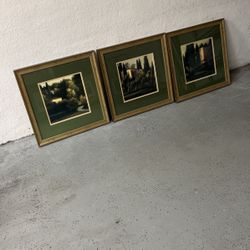 Art Set Of 3 Pictures 