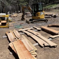 Live Edge Slabs For Shelves, Mantels And Bartops