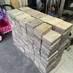 Brick Pavers.  6”x9”.  195 Pcs 
