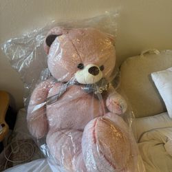 Huge Pink teddy Bear