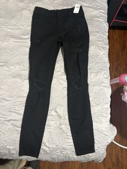 Holister pants