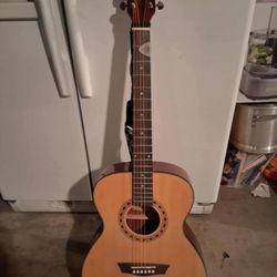 New Washburn Acoustic Guitar And Case 