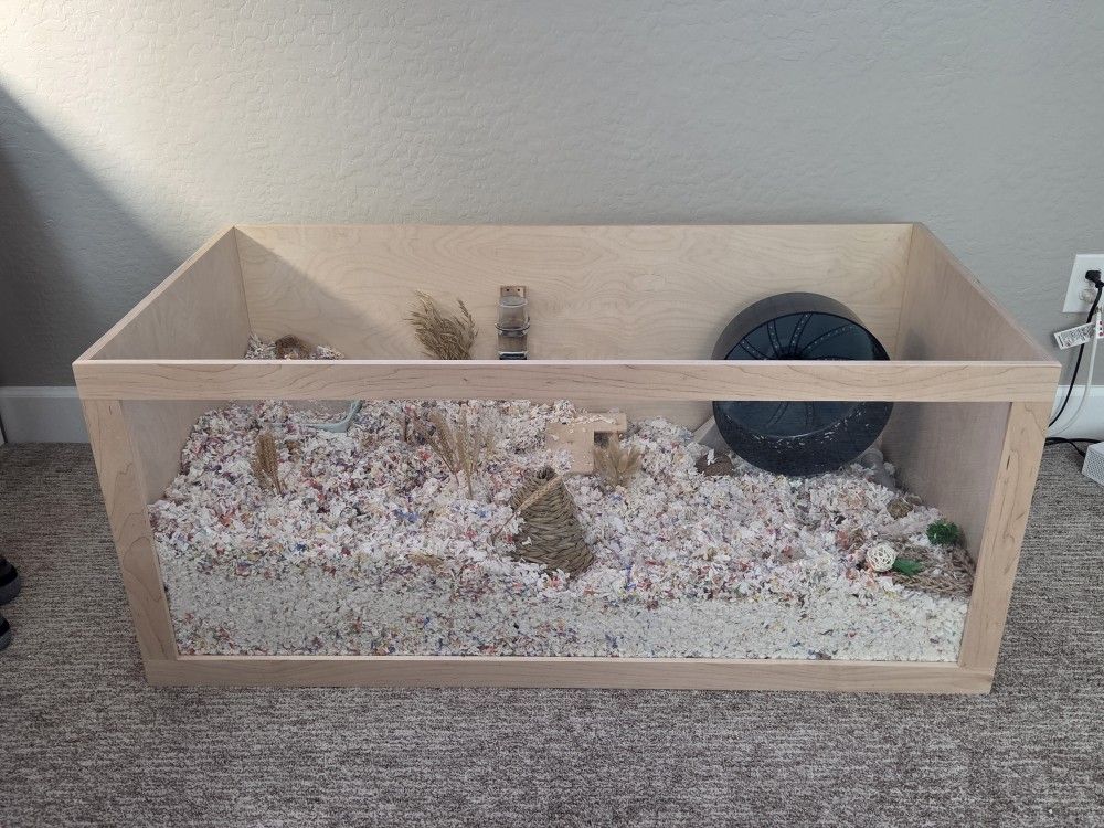 Rehoming Hamster - Custom Hamster Enclosure And Supplies Included