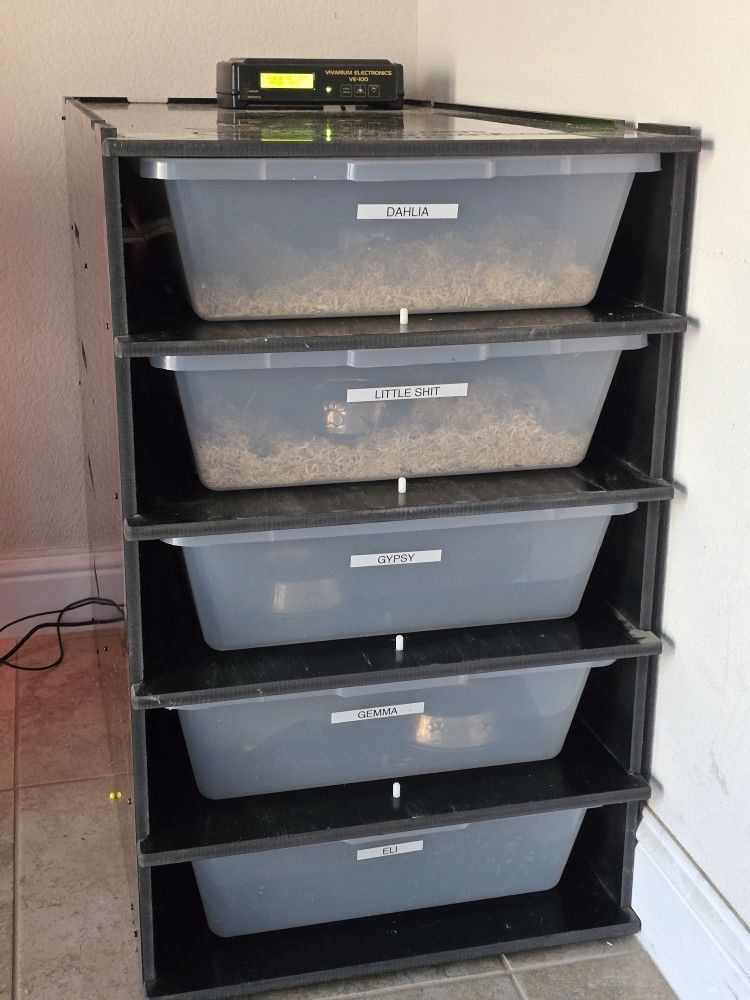 Reptile Enclosure Rack System