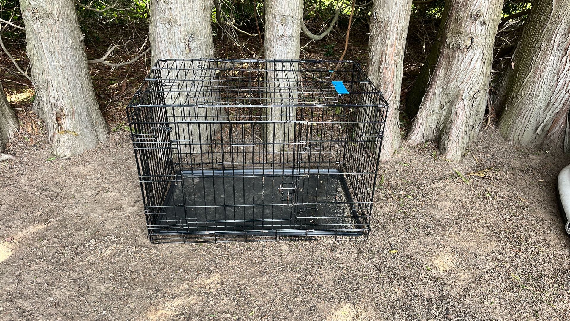 Dog Kennel
