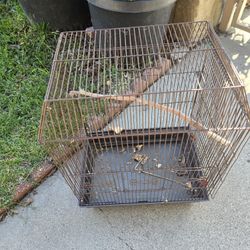 Bird Cage
