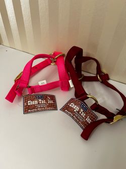 Goat Harness
