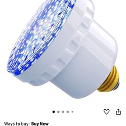 Pool Light Bulbs