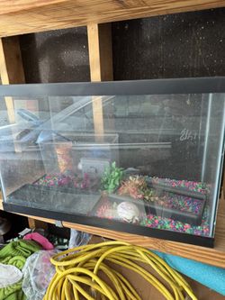 Fish Tank