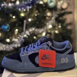 Nike Dunk Supreme SB Ocean Fog