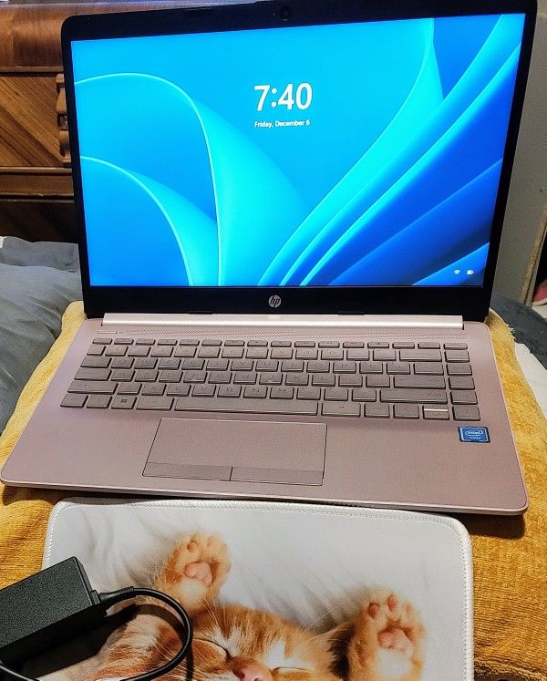 Pink HP 14in Laptop W/ Case & Stand