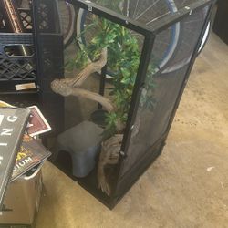 Reptile Enclosure With Mini Tree