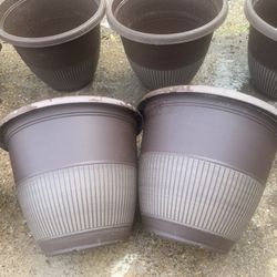 Masetas Nuevas 