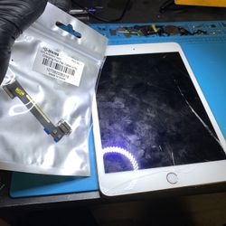 iPad Mini 4/5 Chagrin Port Replacement $59,99