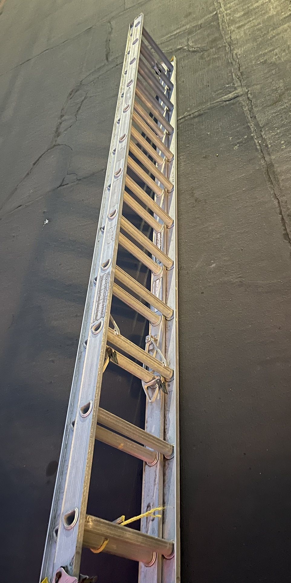Ladder 24 Ft Extended 