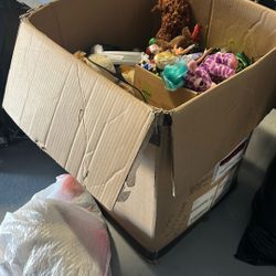 Box Of Toys And Shoes