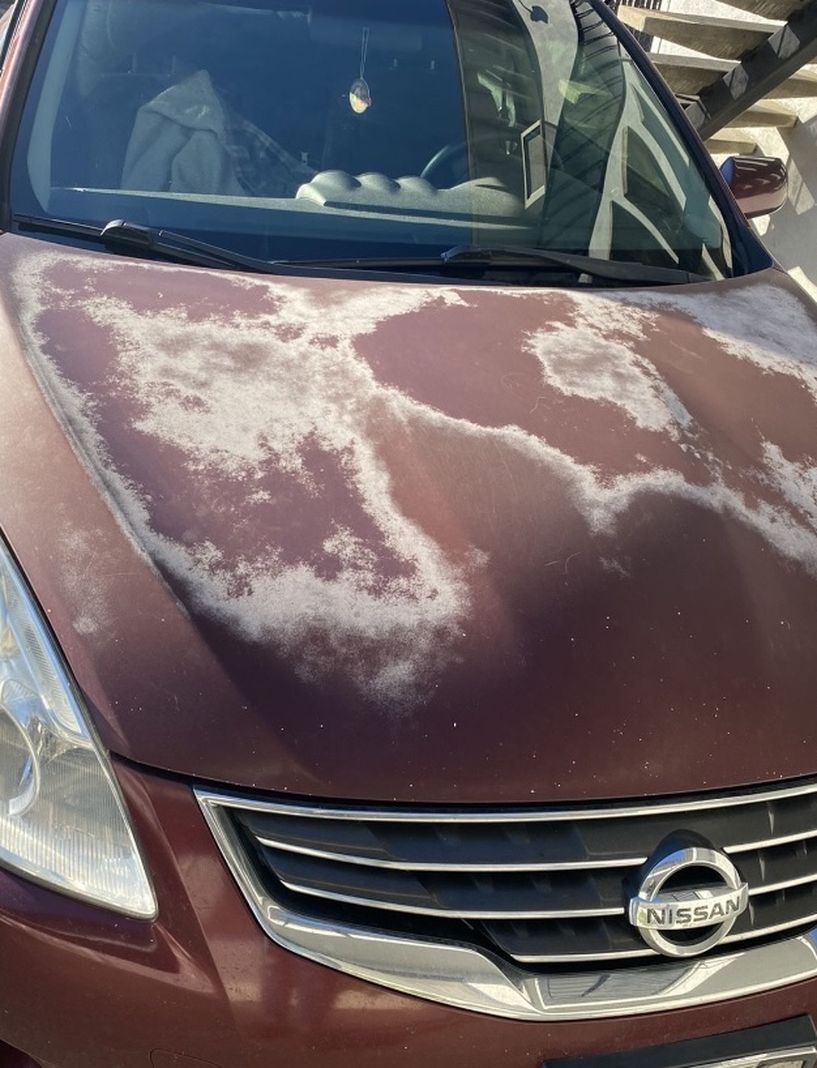 2010 Nissan Altima