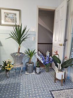 Beautiful Real Flower Vases  & Silk Flowr Vases ...all In The Pixs Firm  Only $65