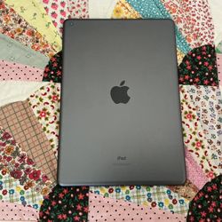 iPad 8th Generation, Xlnt Condition!