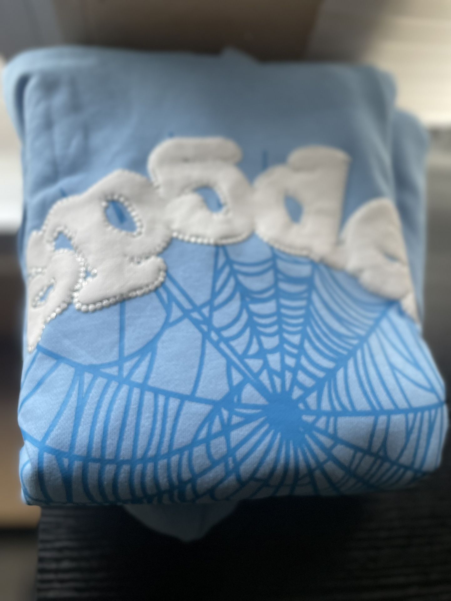 Spider Hoodie