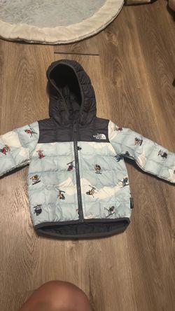 Toddler North Face jacket