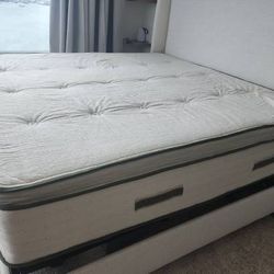 Avocado Green Pillow Top Mattress 