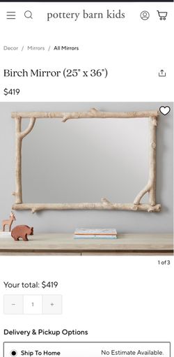 Pottery barn Birch wood branch framed Mirror (25" x 36")
