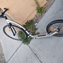 Big Scooter