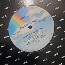 Jungle Love Vinyl 
